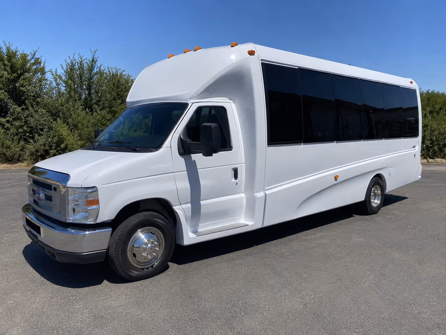 birthday party bus rental
